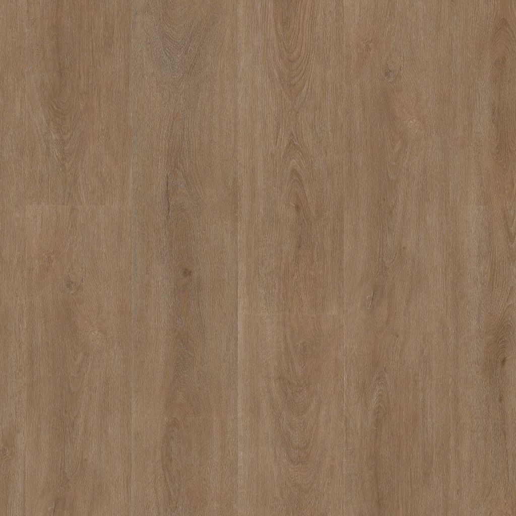 Parramatta dryback dark oak