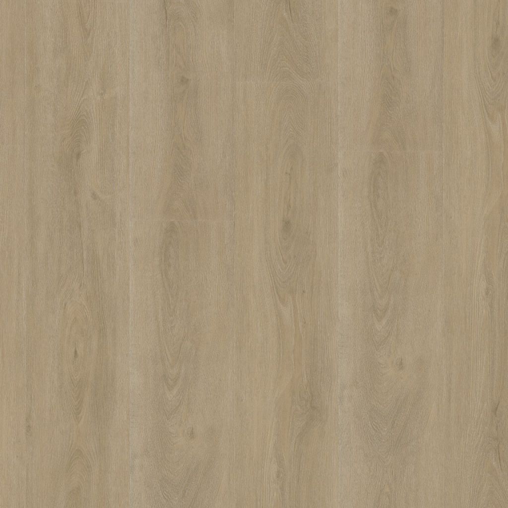 Parramatta dryback beige