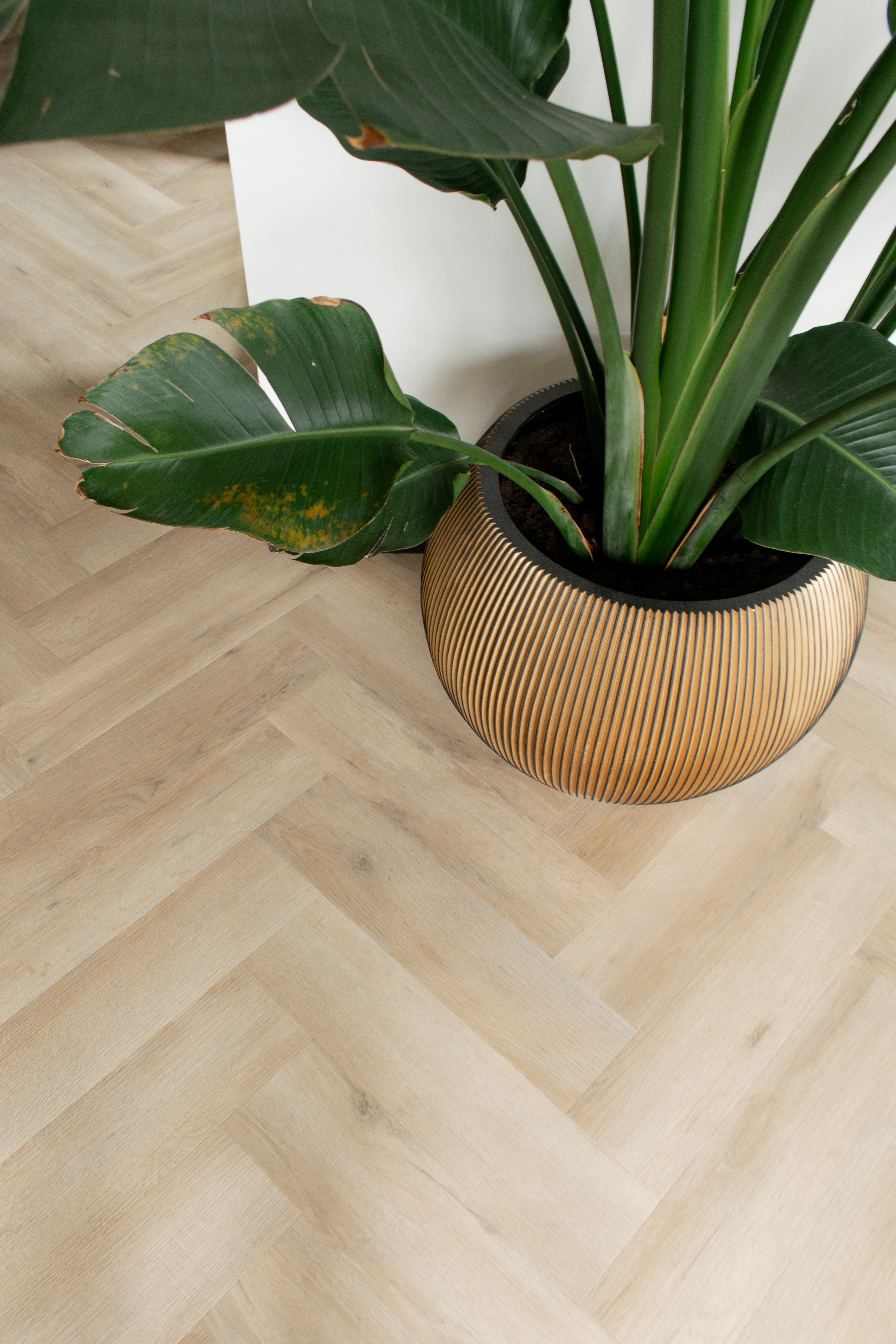 Artline Visgraat 1260