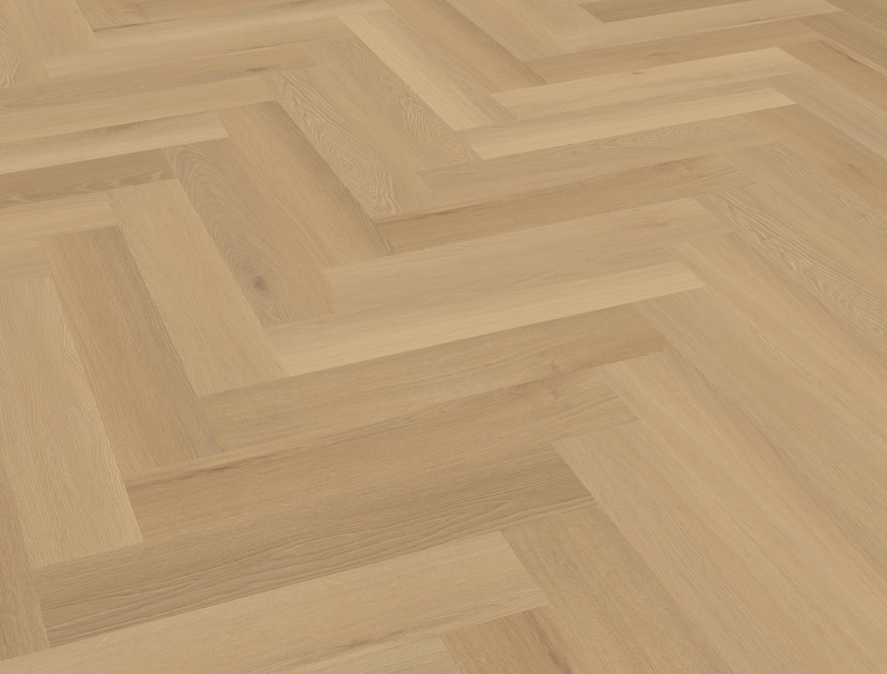 Borgo visgraat XL 30