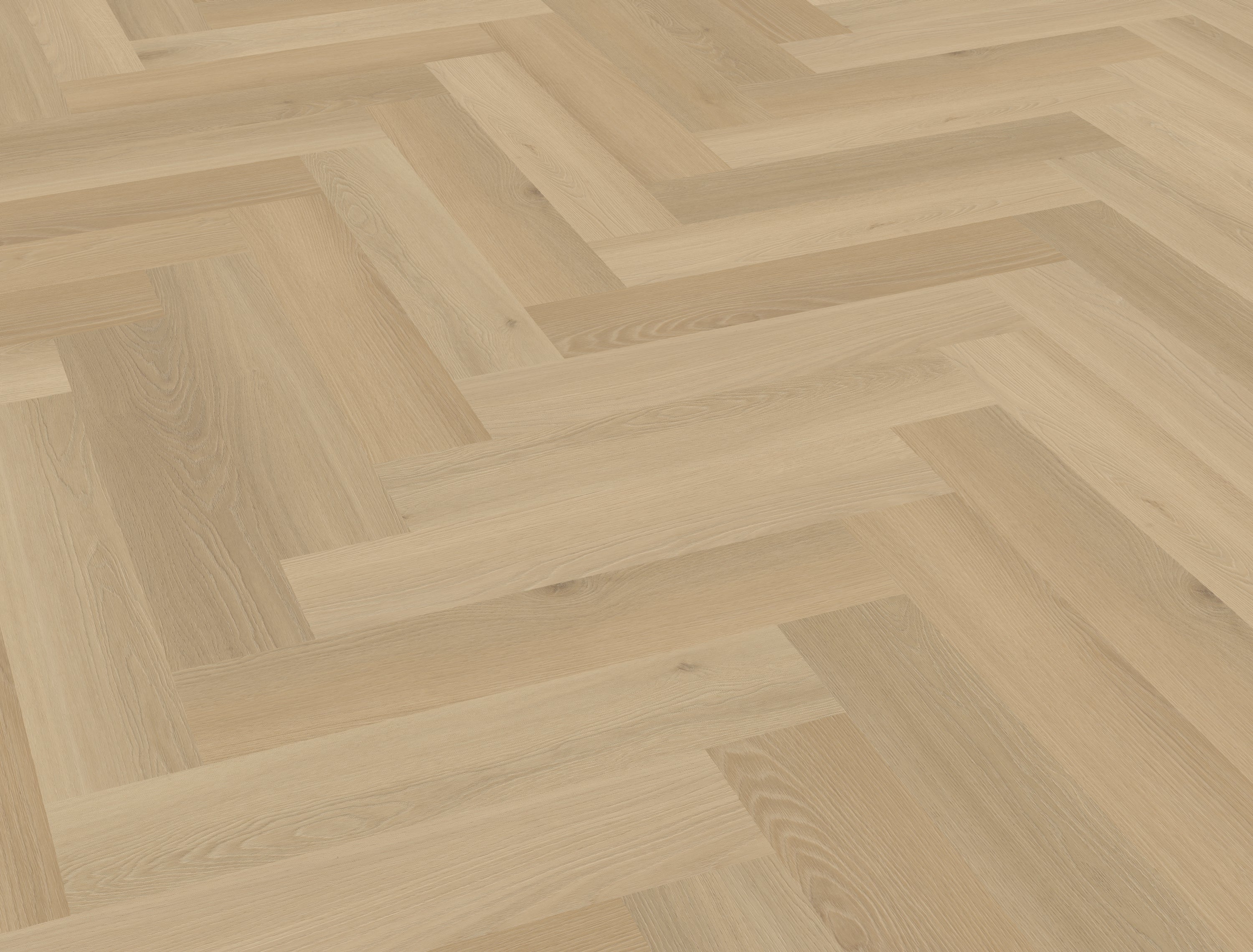 Borgo visgraat XL 31