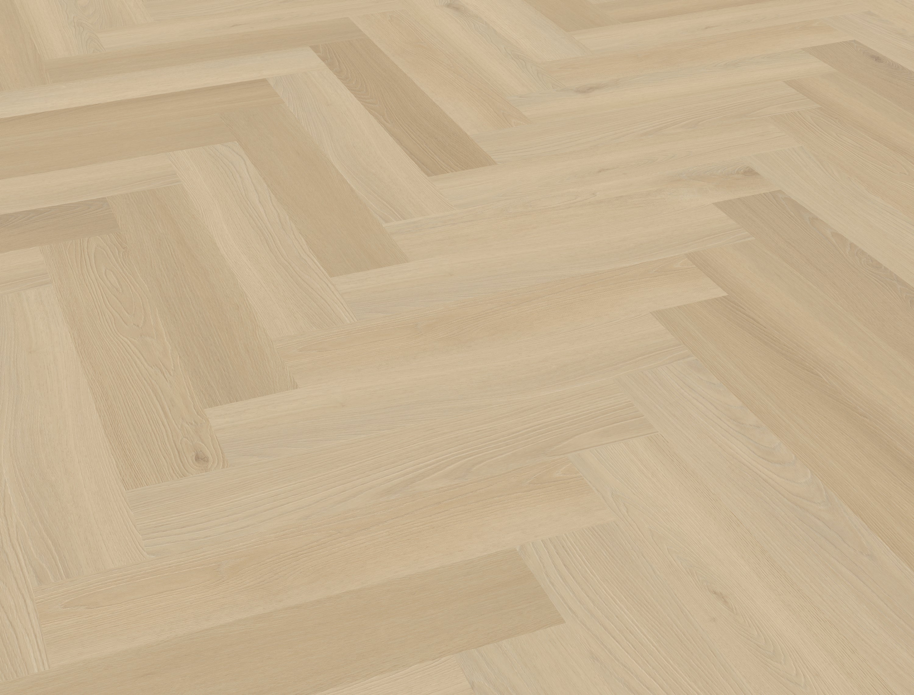 Borgo visgraat XL 33