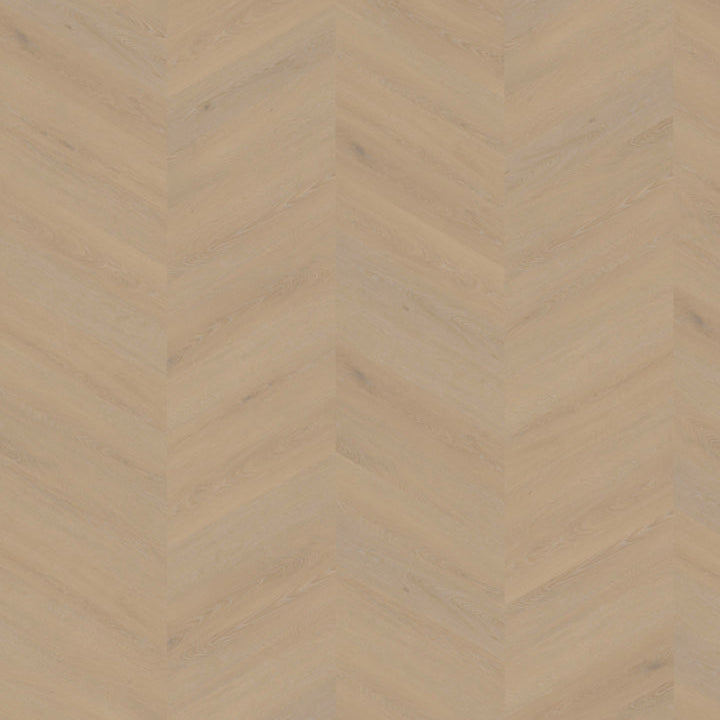 Cervo Hongaarse punt | Weense punt 20