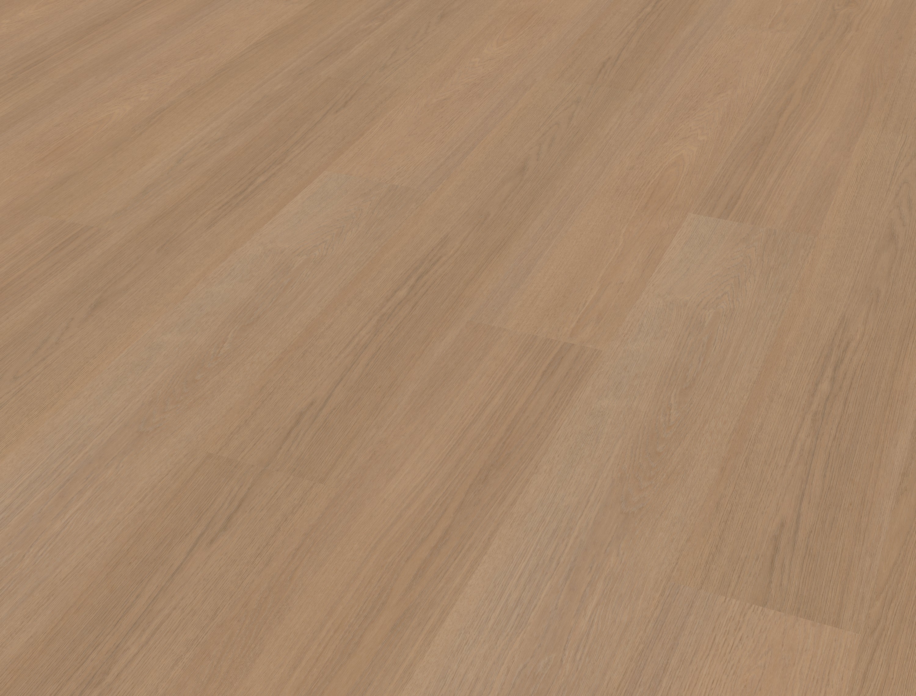 Futuro 500 | Rigid Click