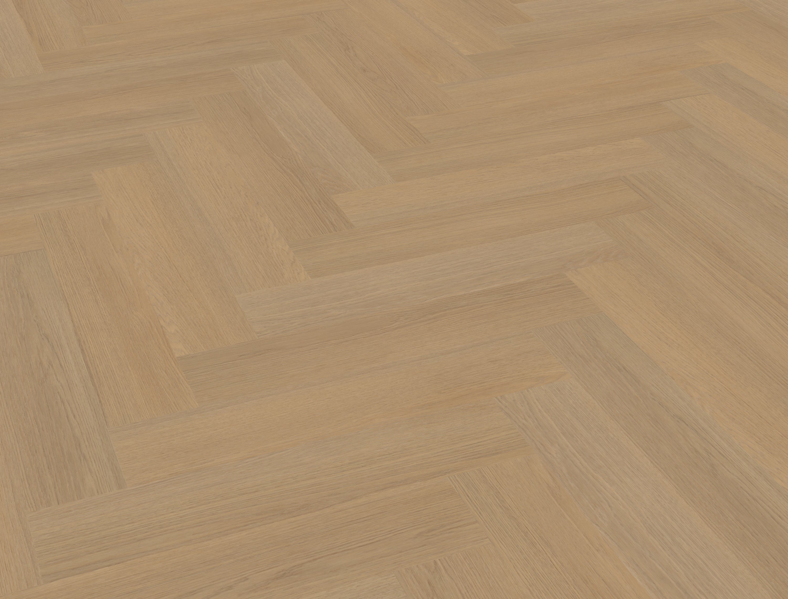 Futuro visgraat XL 50 | Rigid Click