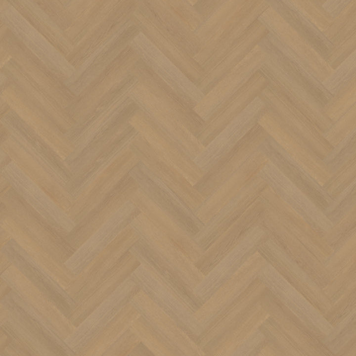 Futuro visgraat XL 50