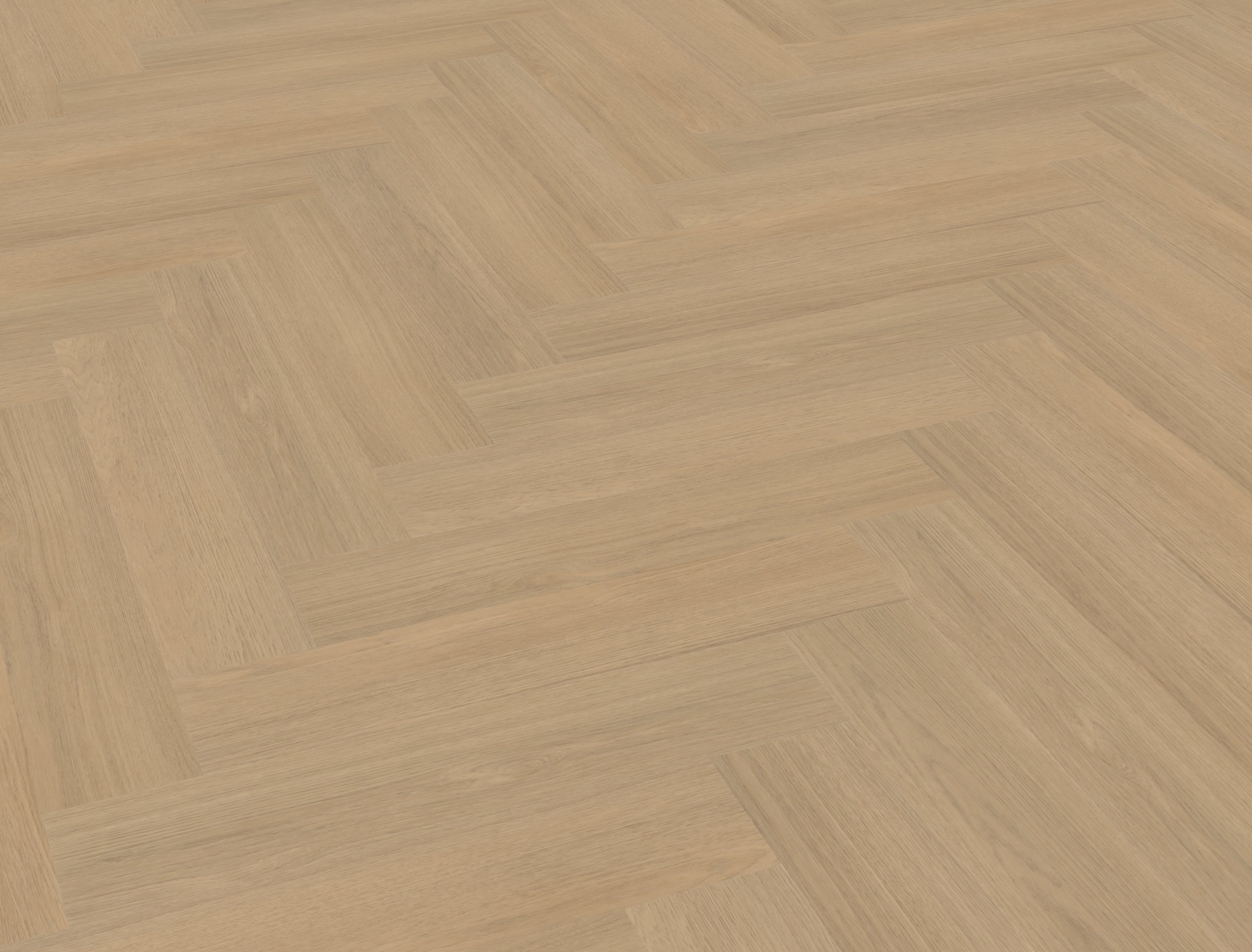 Futuro visgraat XL 51