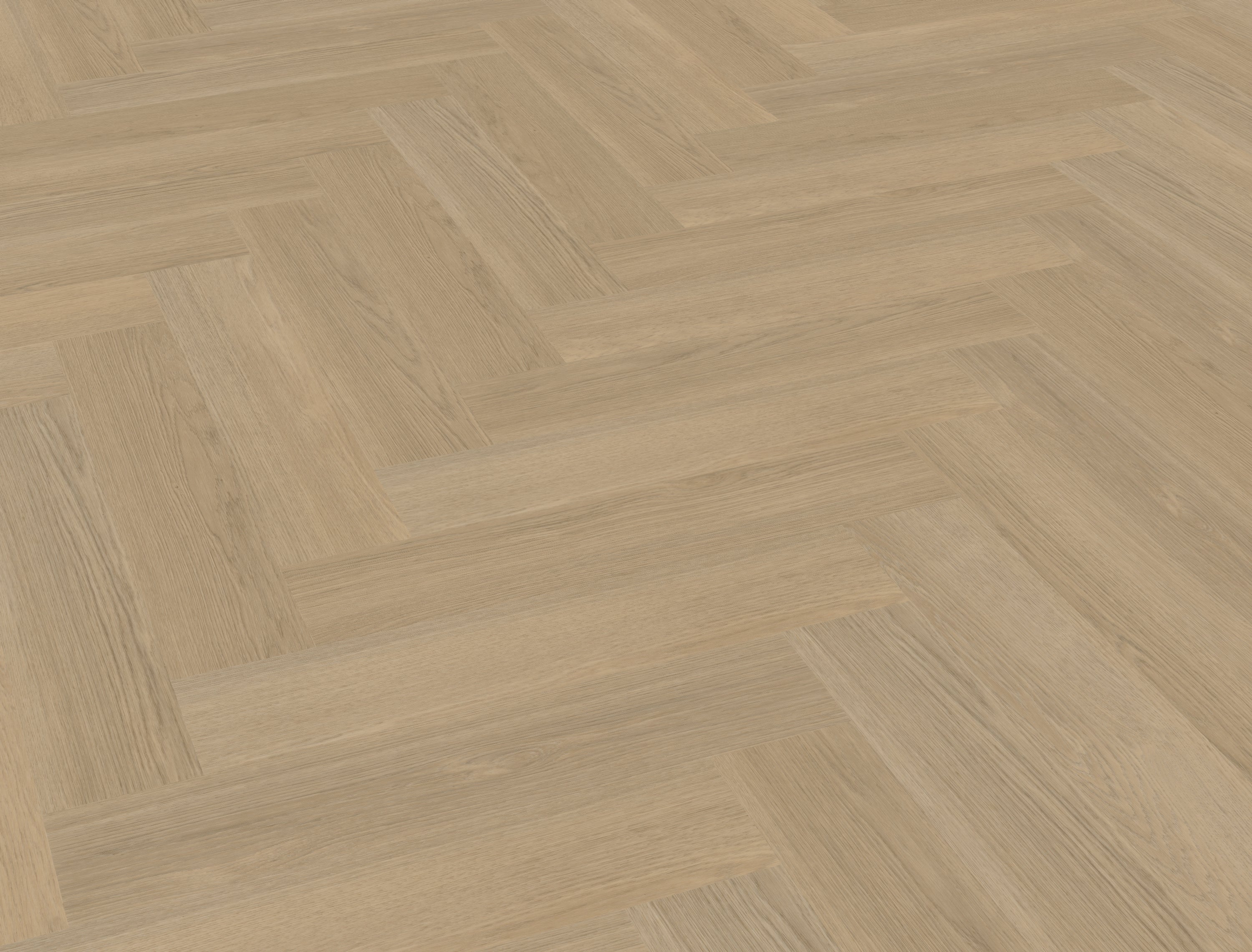 Futuro visgraat XL 53