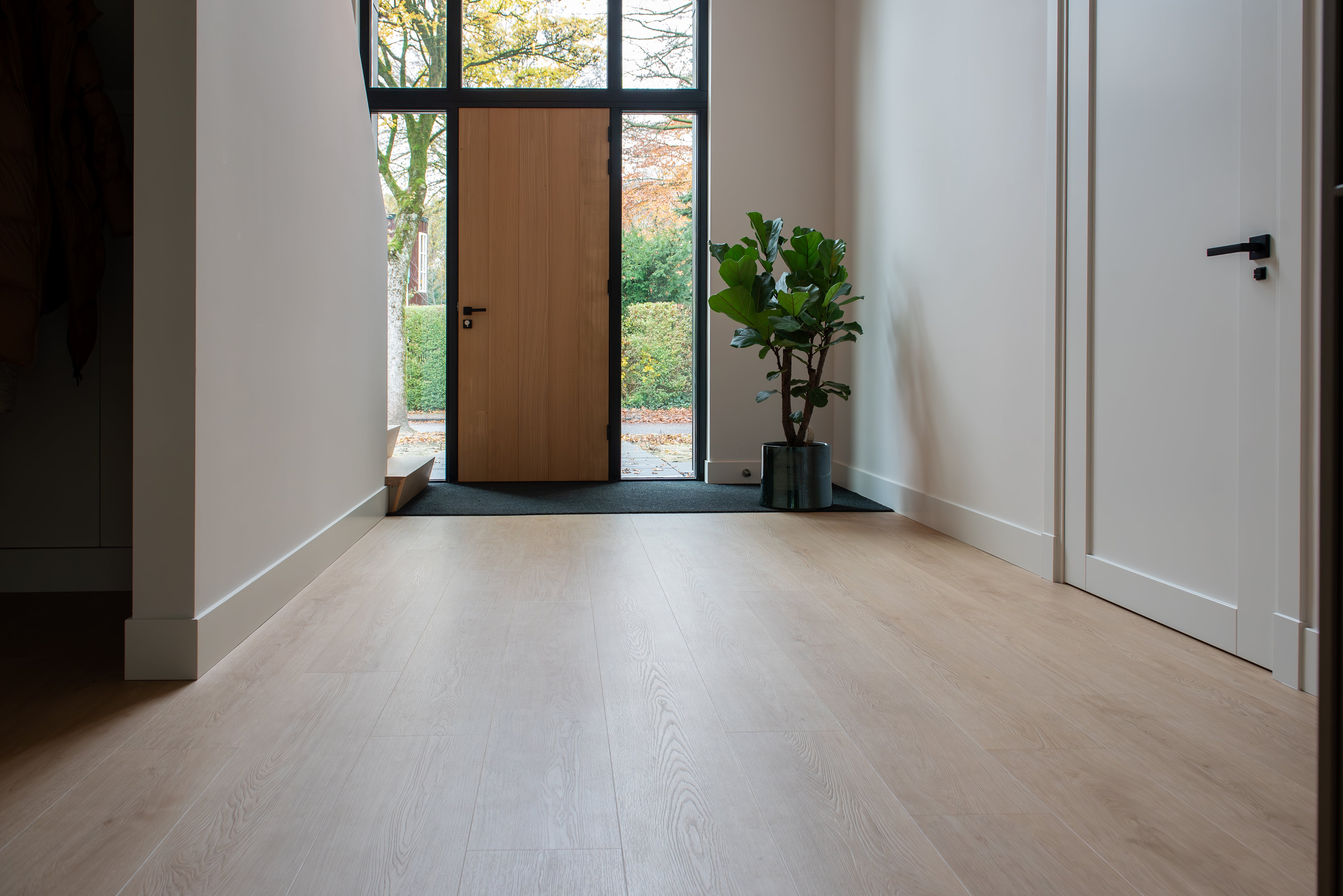 Monastro 920 | Rigid Click