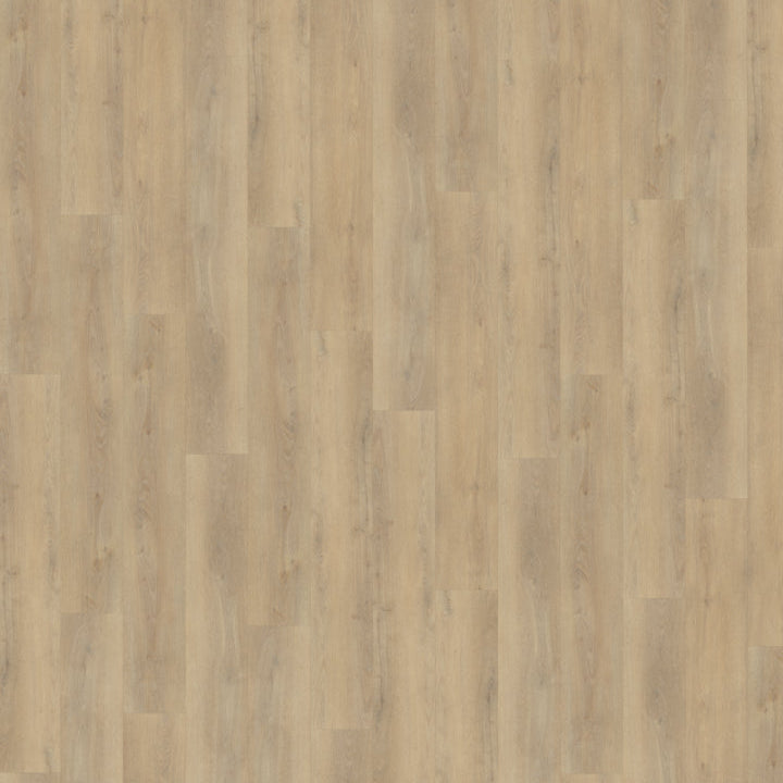 Palazzo 720 | Rigid Click