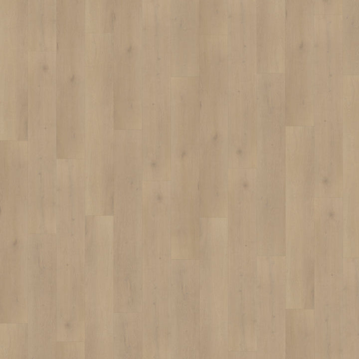 Palazzo 770 | Rigid Click