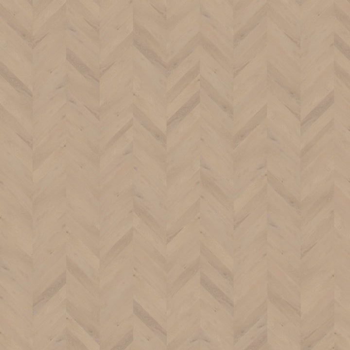 Palazzo Hongaarse punt | Weense punt 74