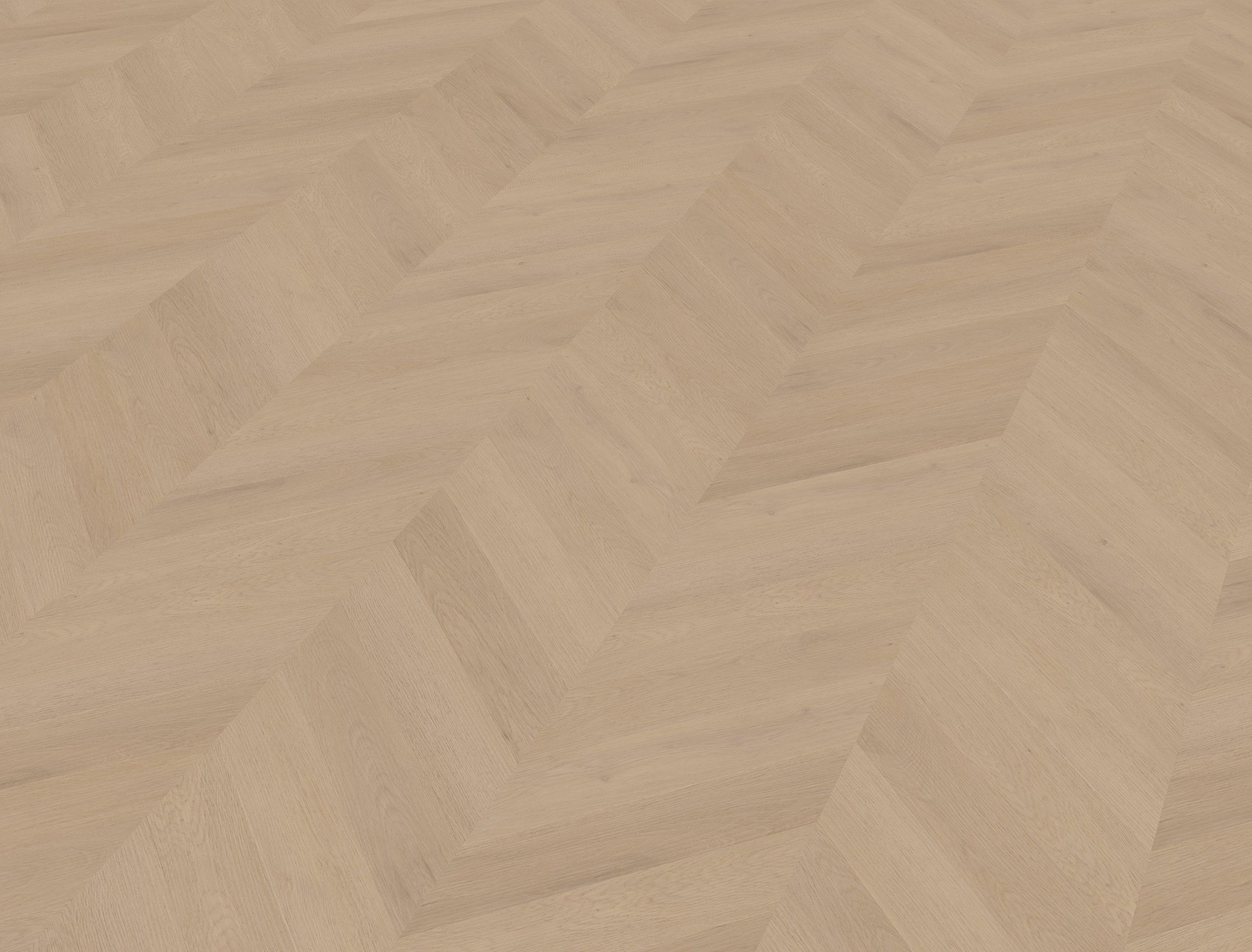 Palazzo Hongaarse punt | Weense punt 77