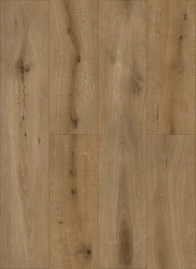 Gelasta Callisto Dryback Natural Oak Dark