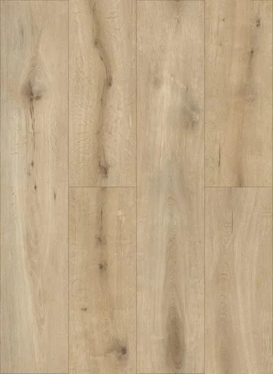 Gelasta Callisto Dryback Natural Oak Light