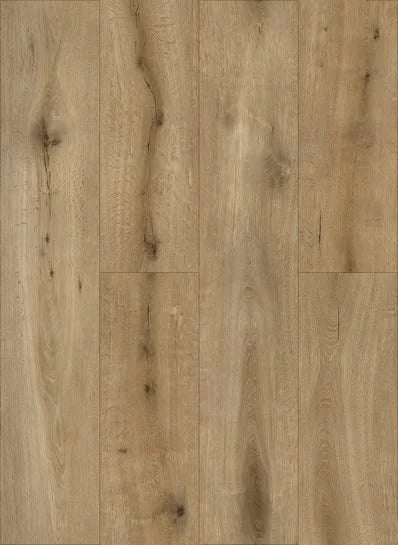 Gelasta Callisto Dryback Natural Oak