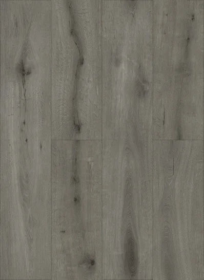 Gelasta Callisto Dryback Natural Oak Grey