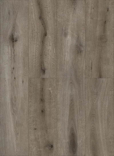 Gelasta Callisto Dryback Natural Oak Brown