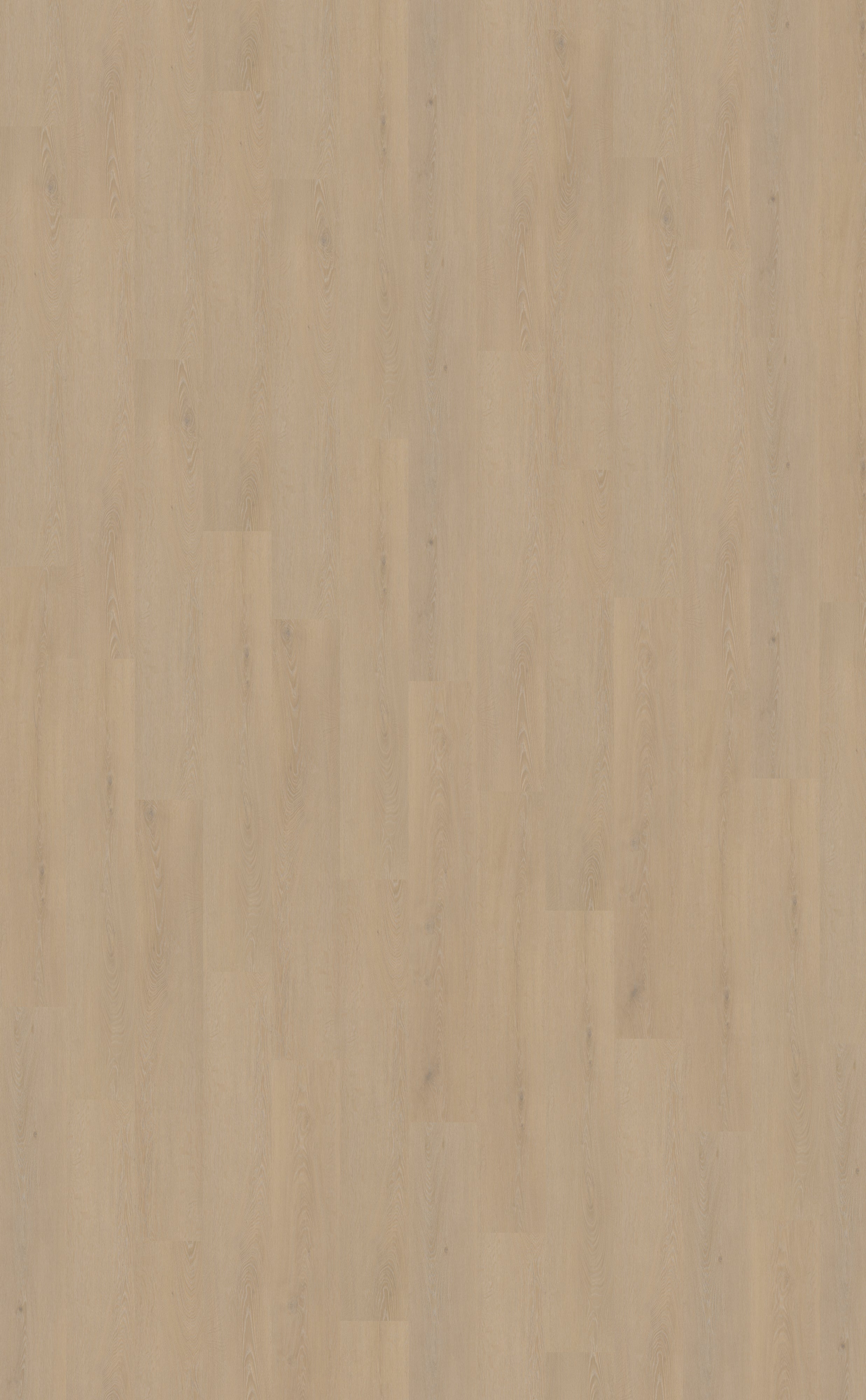 Cervo 200 | Rigid Click