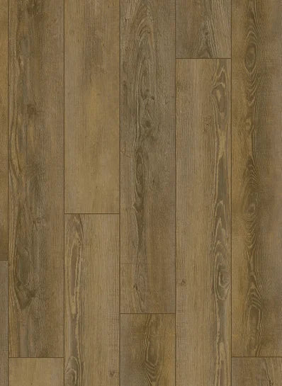 Gelasta City Dryback Olympia Pine Natural