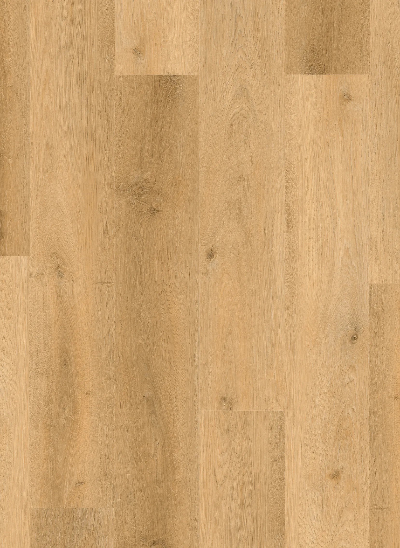 Gelasta Country Dryback Prestige Oak Naturel