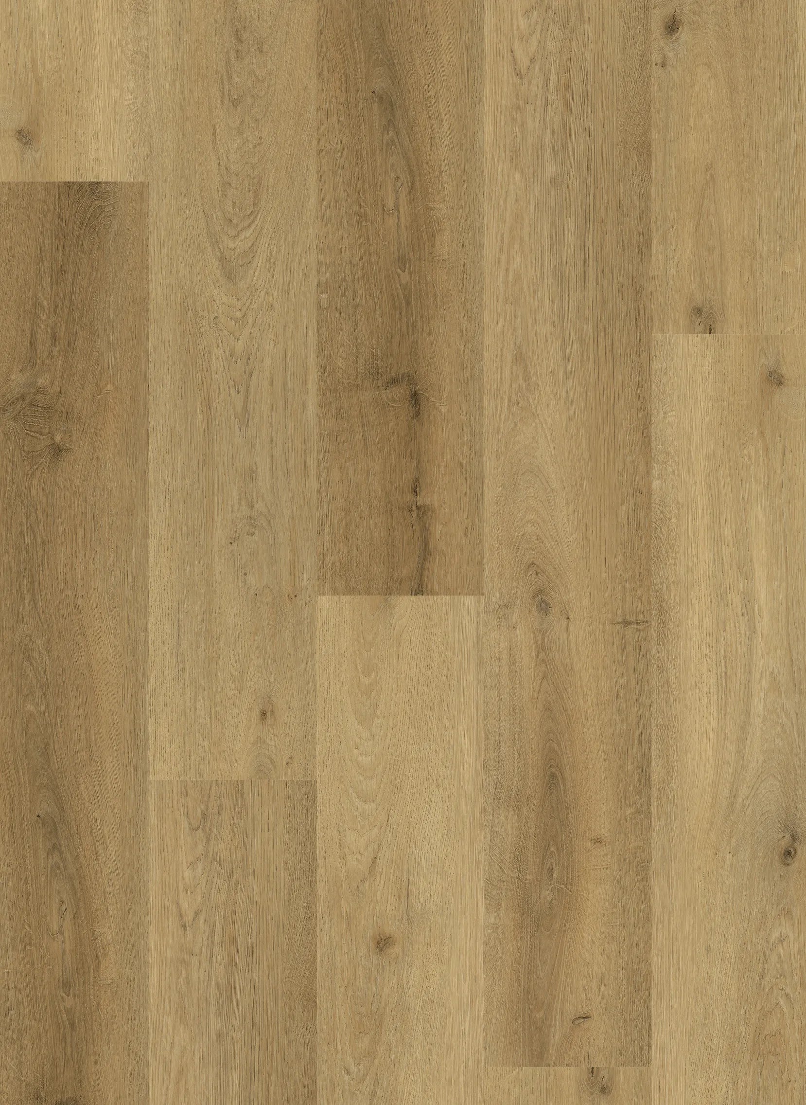 Gelasta Country Dryback Prestige Oak Sand