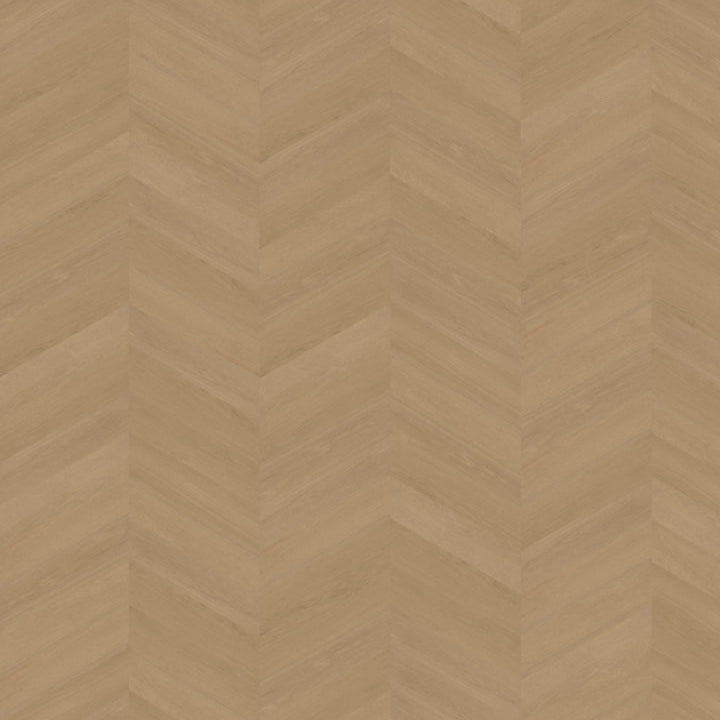 Futuro Hongaarse punt | Weense punt 50