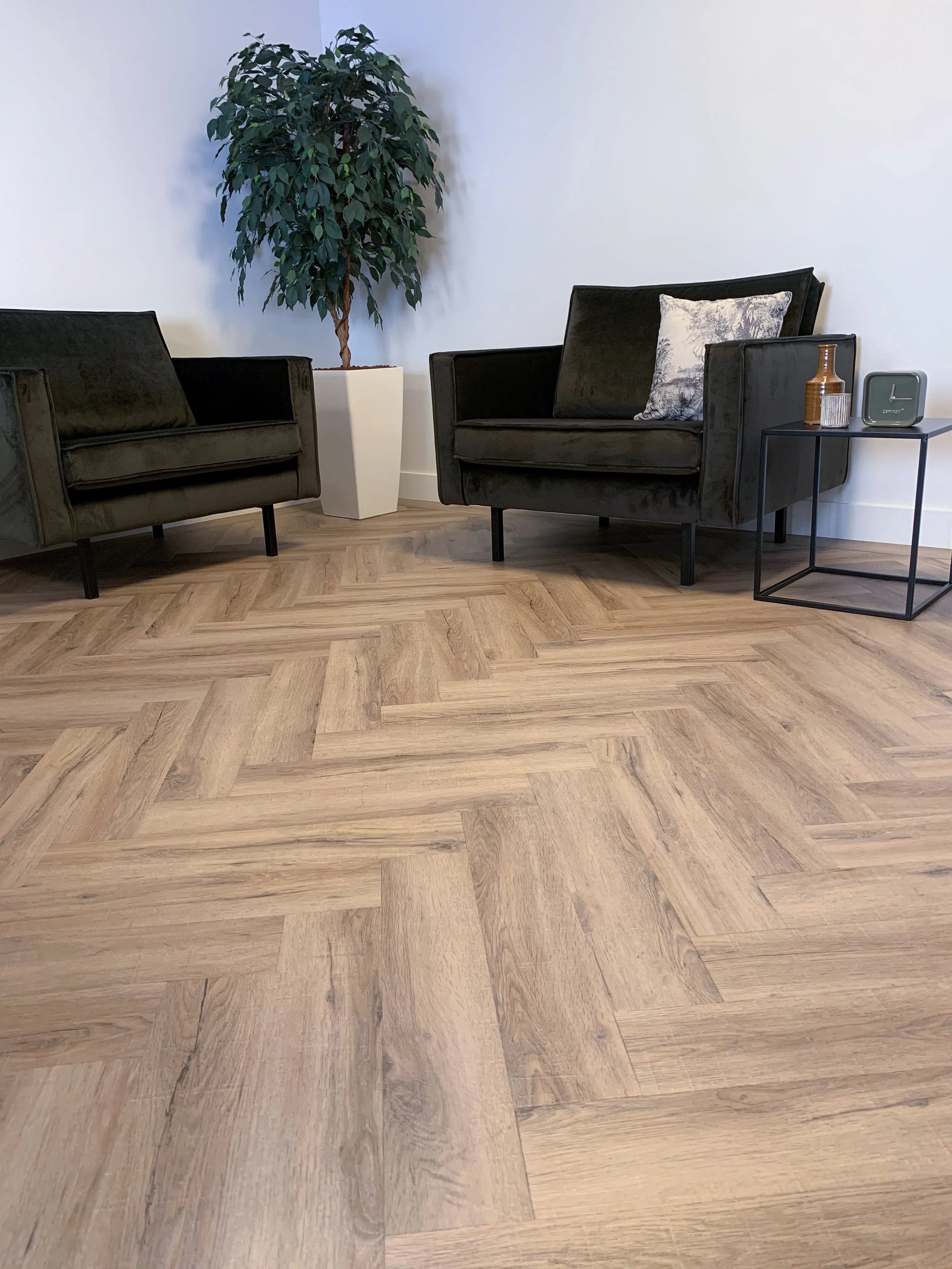 City Visgraat 4700 (dryback)