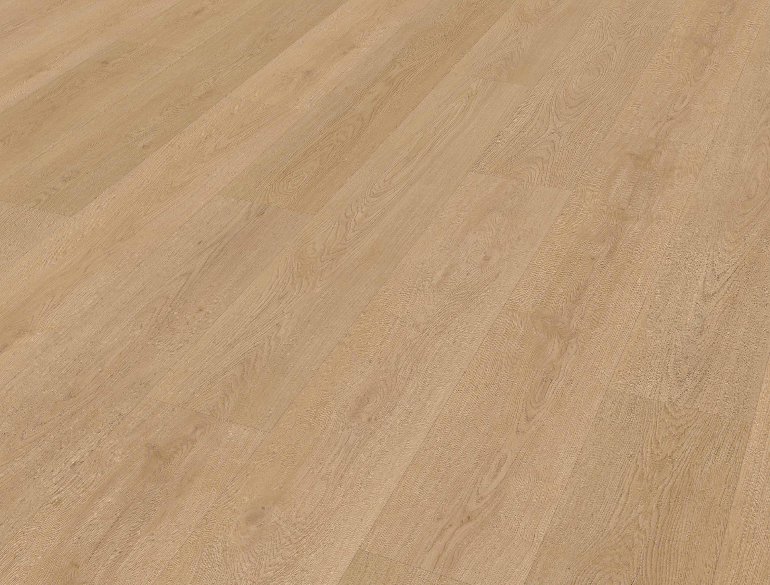 Monastro 930 | Rigid Click