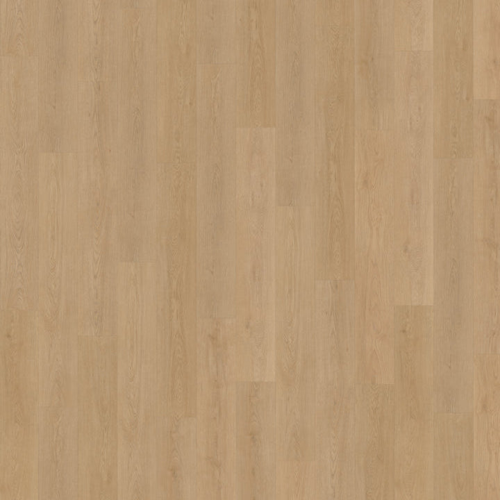 Monastro 930 | Rigid Click