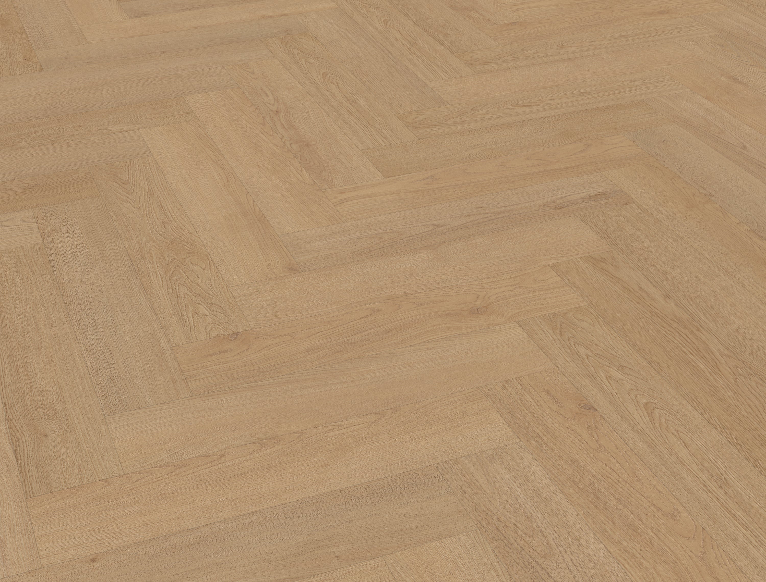 Monastro visgraat XL 93