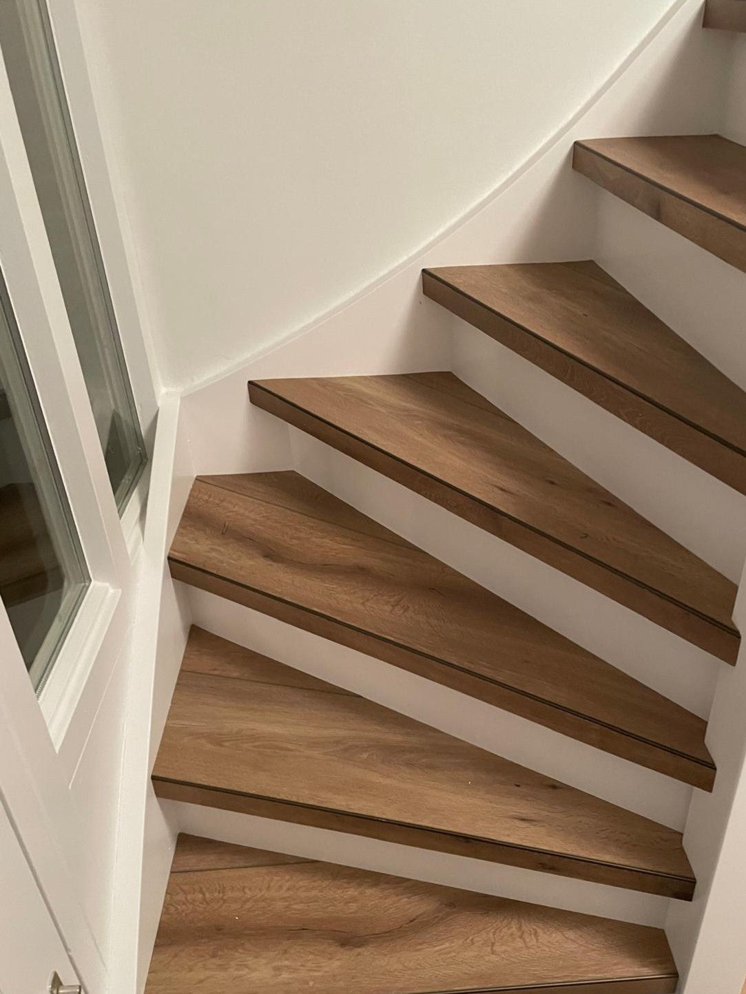 Callisto 4102 (dryback)