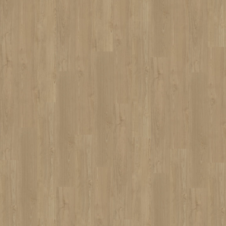 Portico 540 | Rigid Click