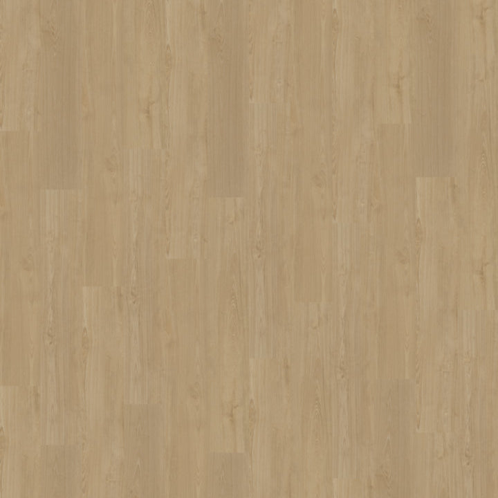 Portico 560 | Rigid Click