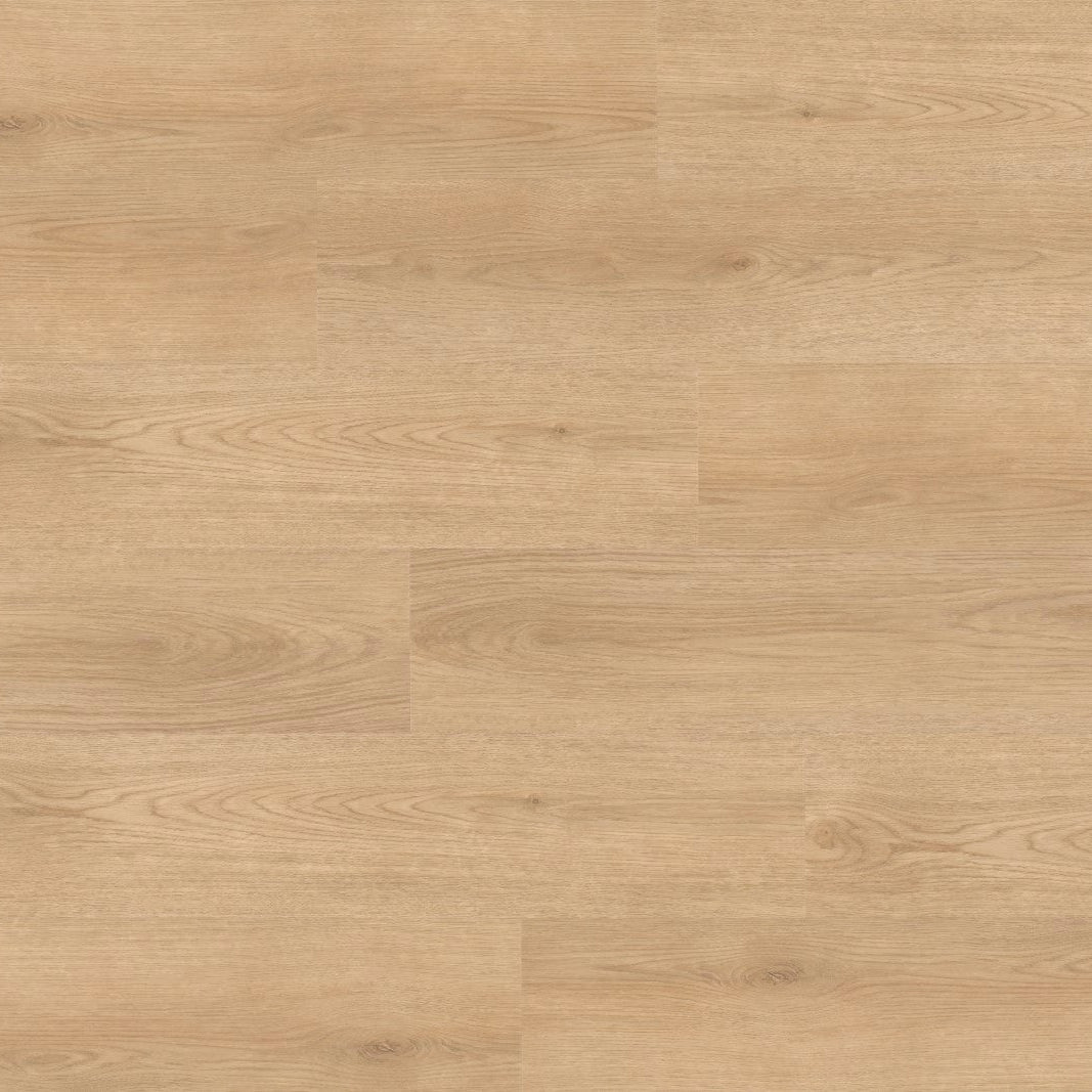 Tejo 180 Nougat IB