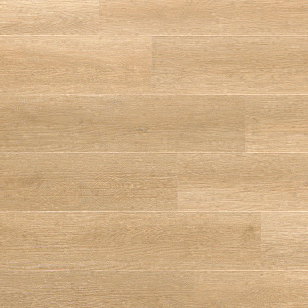 Ivalo 176 Amaranth IB