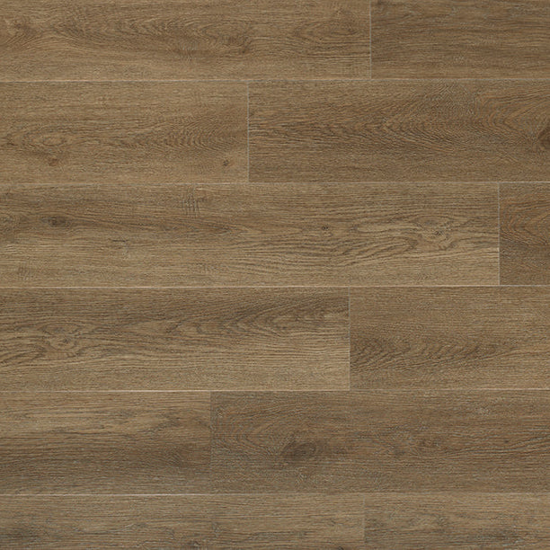 Ivalo 176 Roasted Bean IB