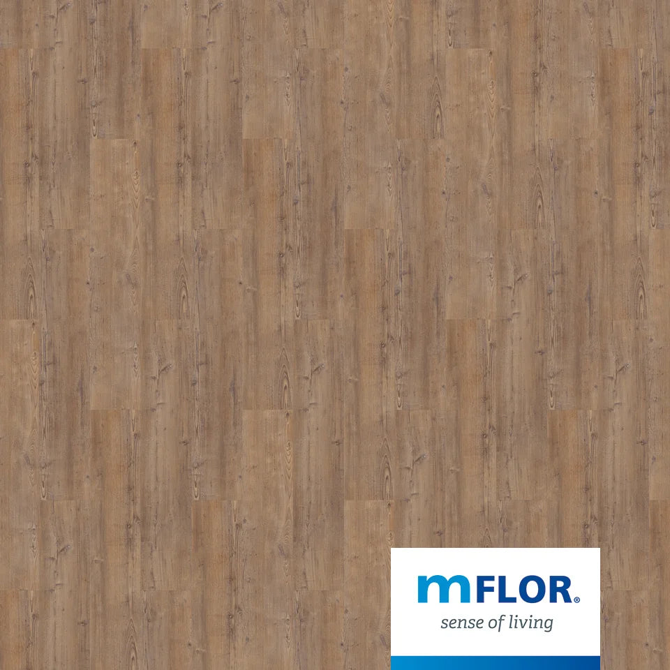 mFLOR Argyll Fir Serrano