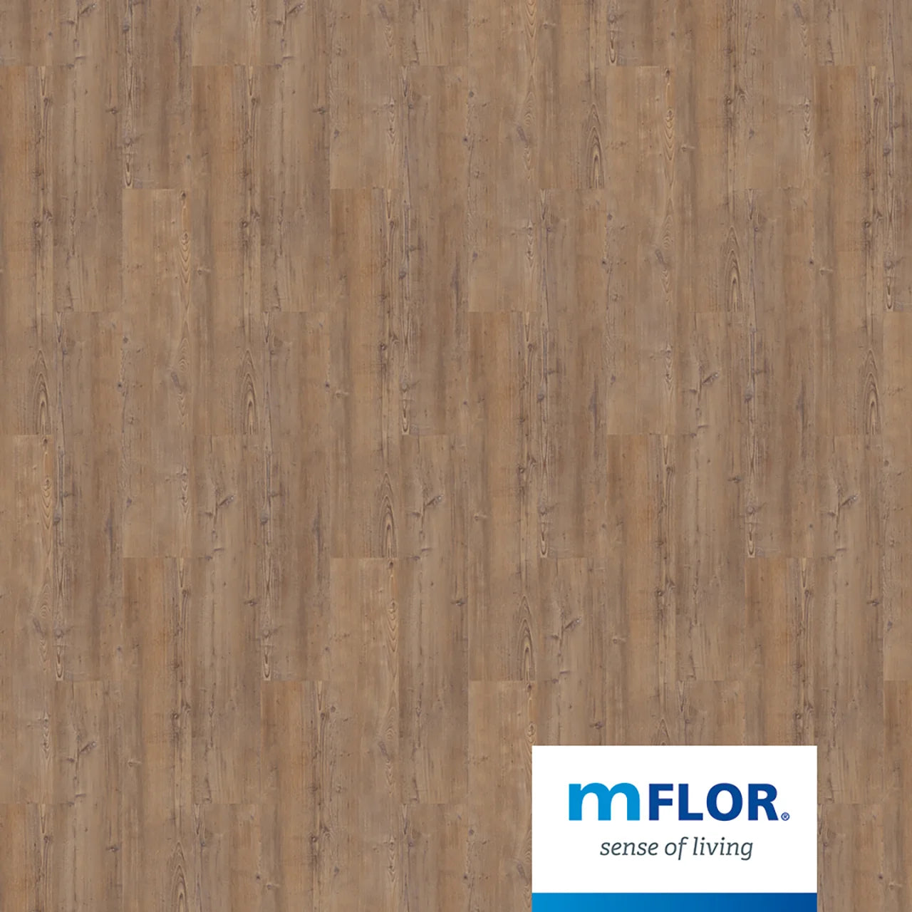 mFLOR Argyll Fir Comerford