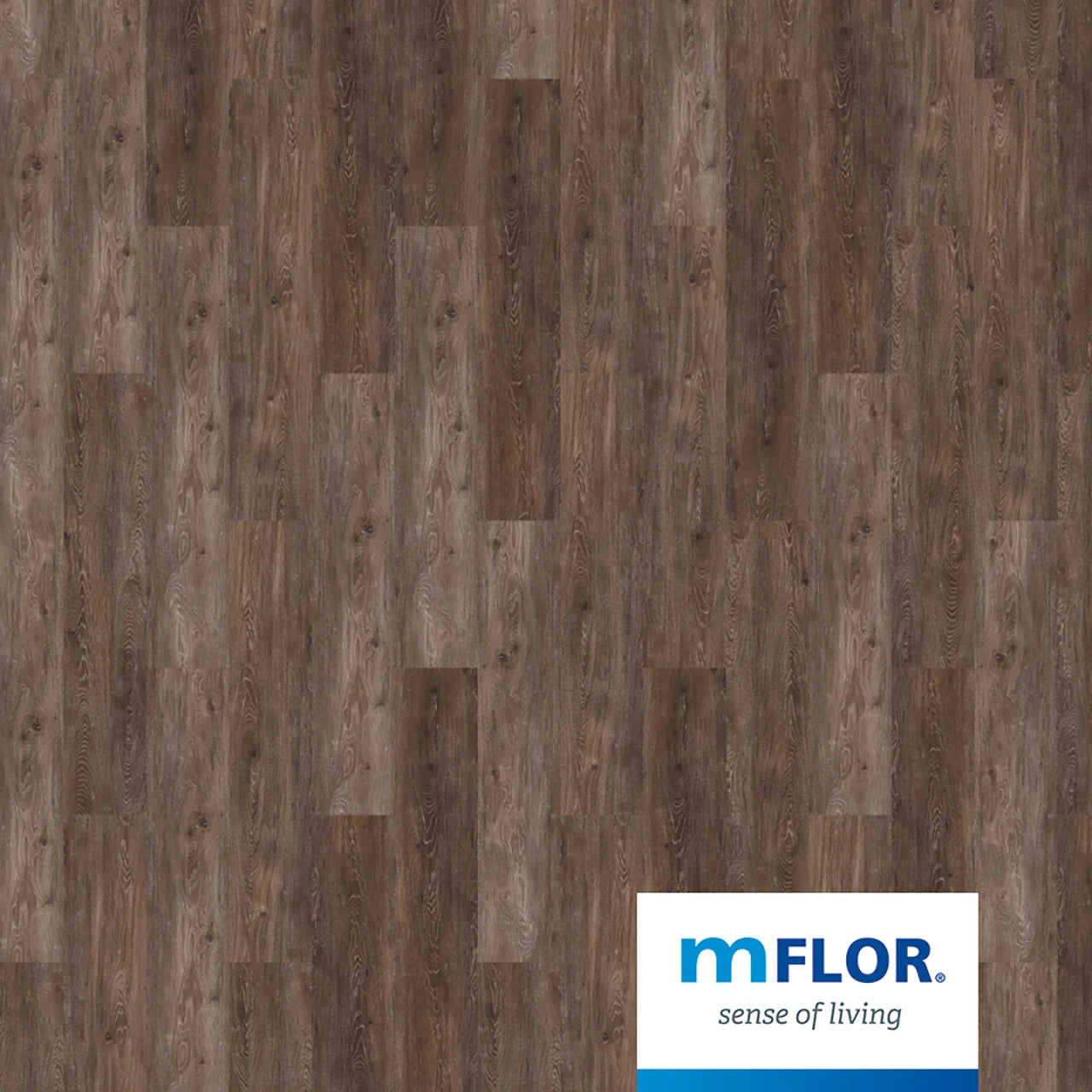 mFLOR Reservoir Oak Chard