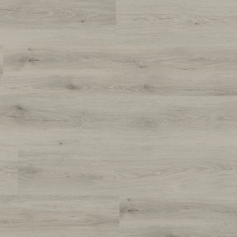 Mantaro Dryback 233 Fossil