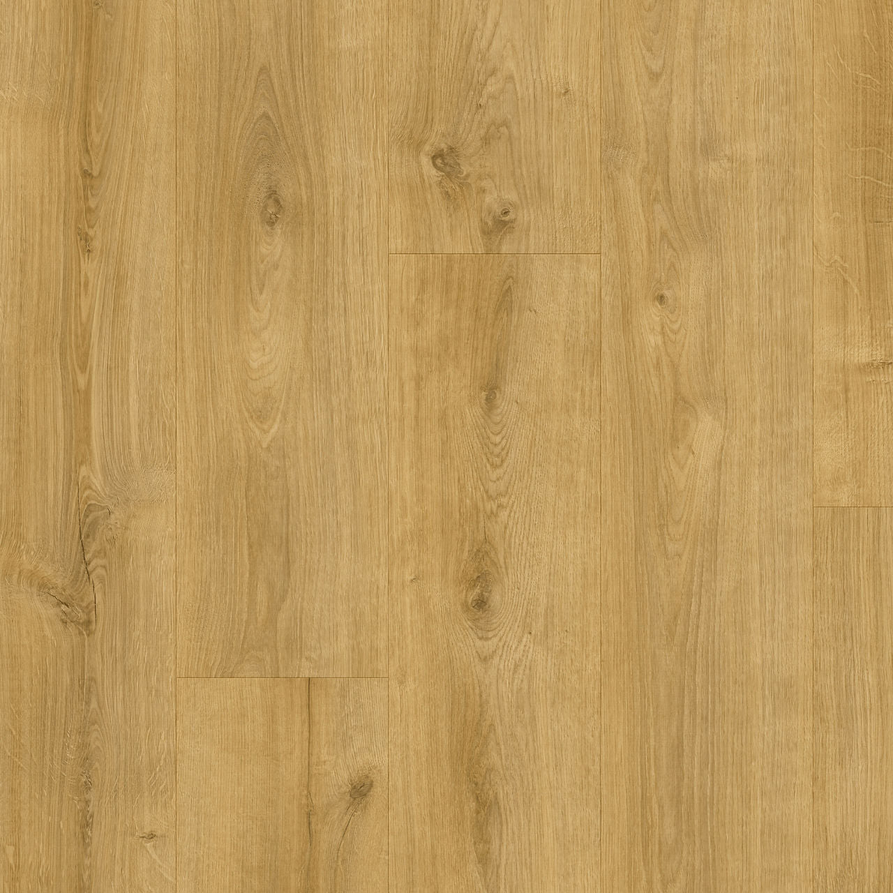 Roots Galway Oak 87250