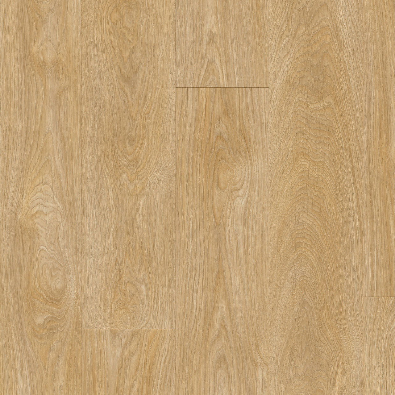 LAYRED LAUREL OAK 51282