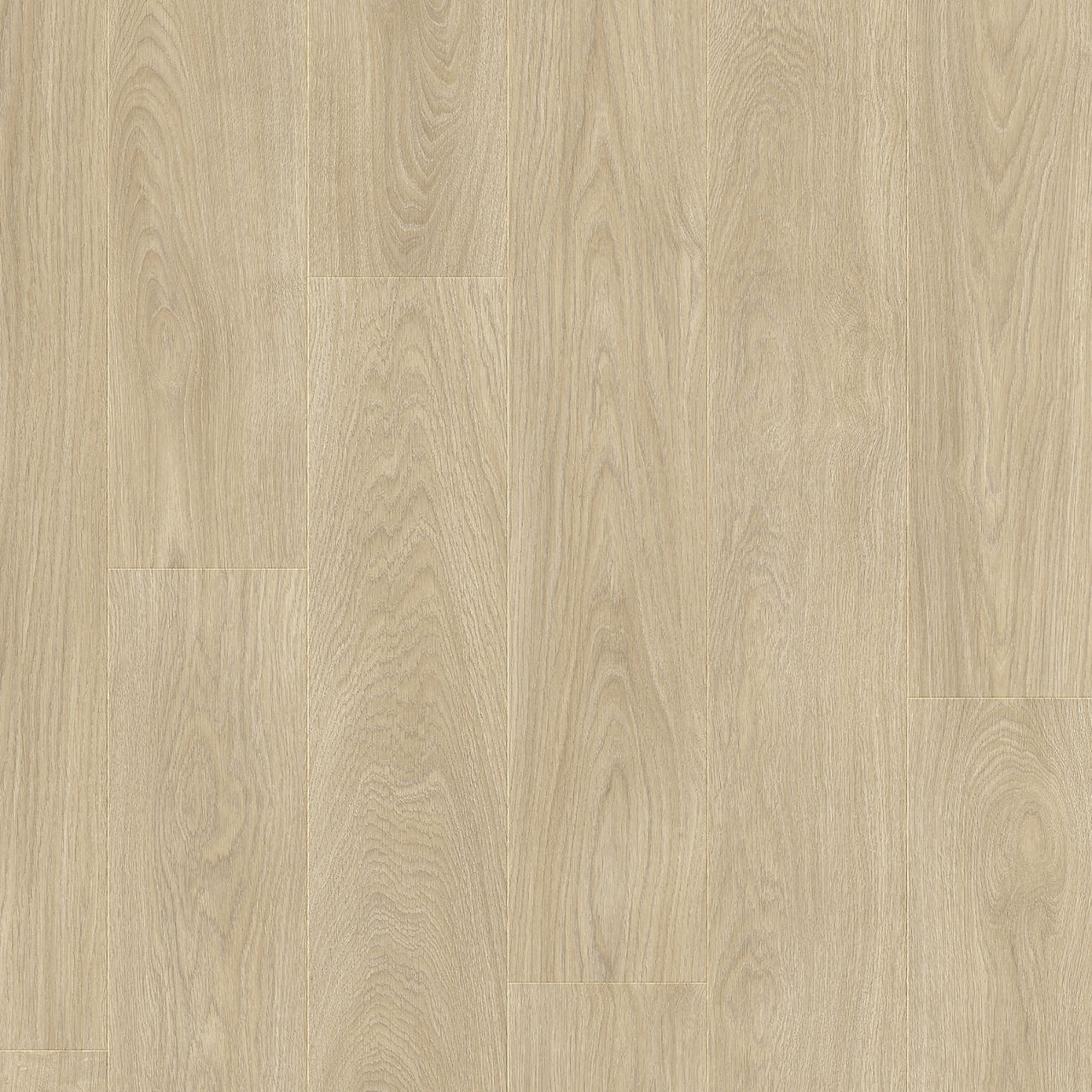 LAYRED LAUREL OAK 51230