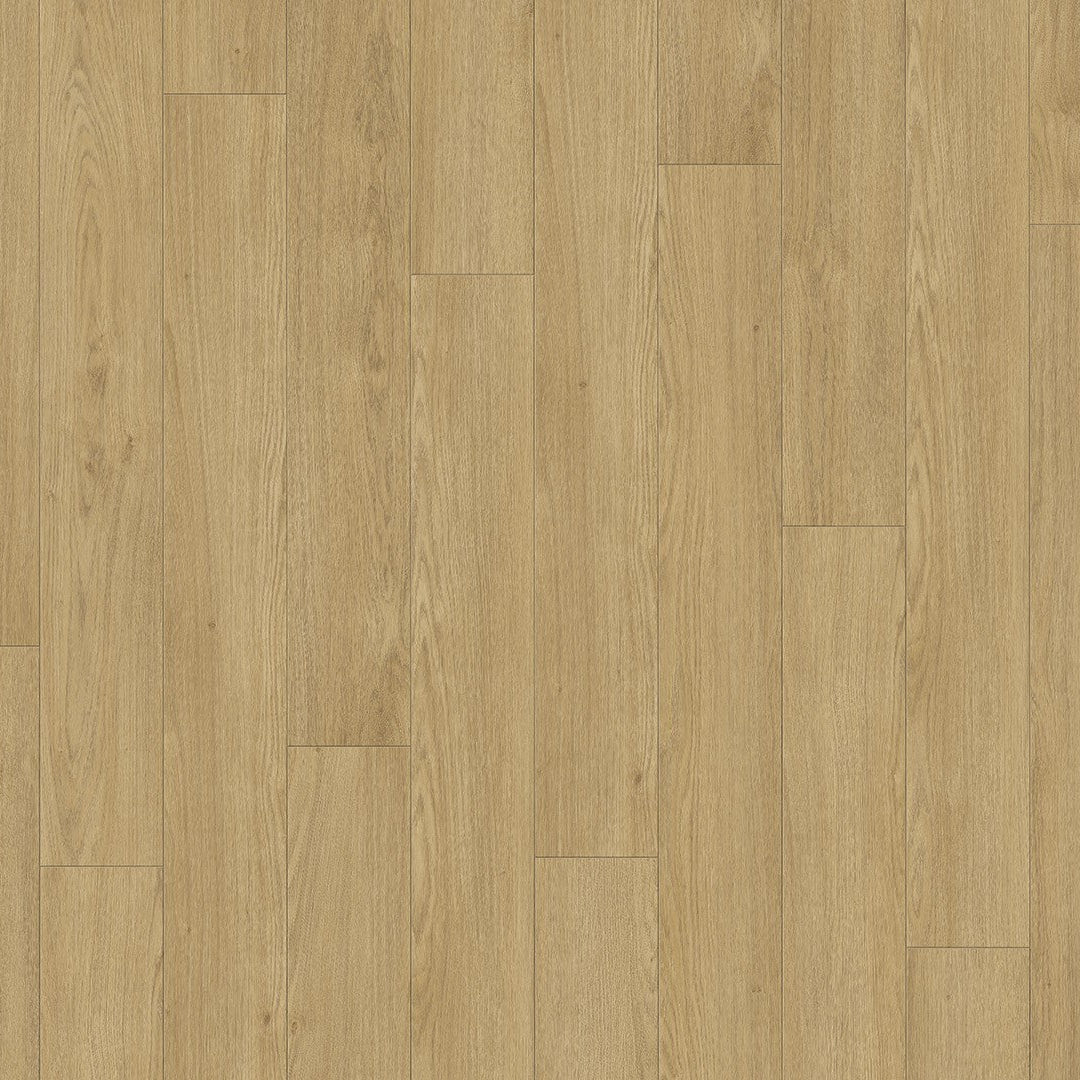 Laminaat Trendtime 1 Mont Blanc natuur Mat Houtstructu minivellingkant