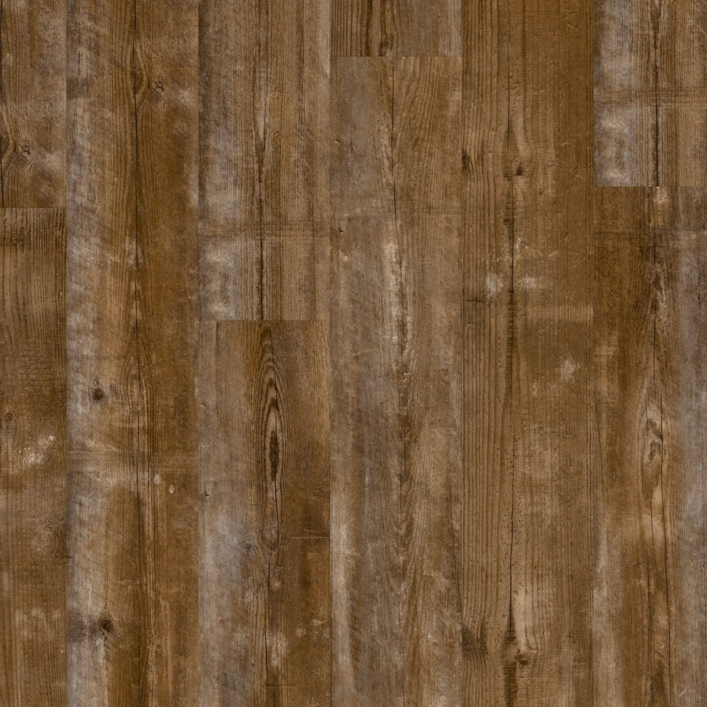 Quick-Step Bloom AVMPU40075 Schemering den