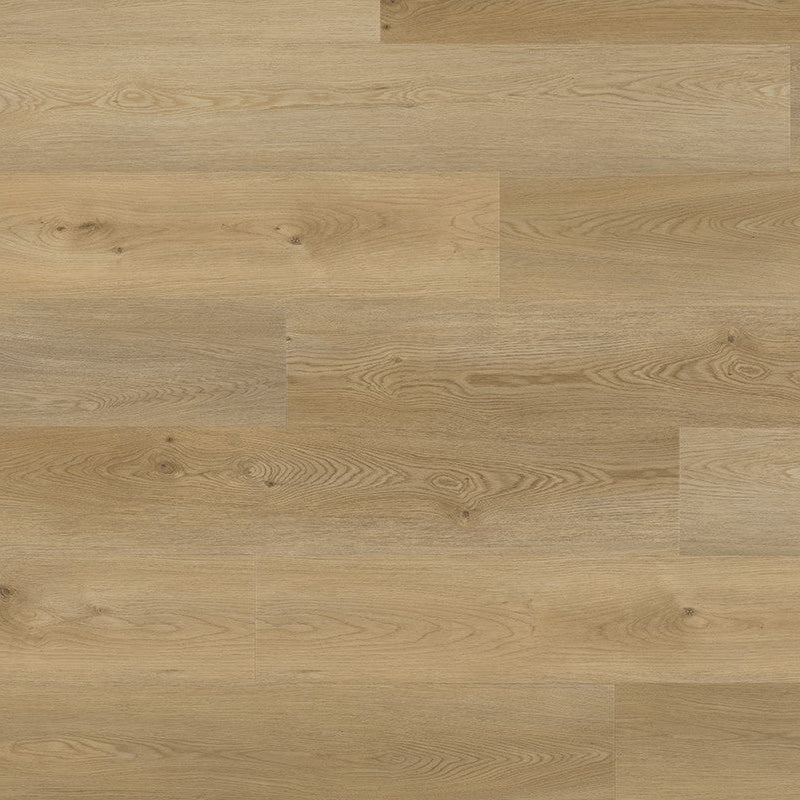 Tarn 176 Vanilla Fudge IB