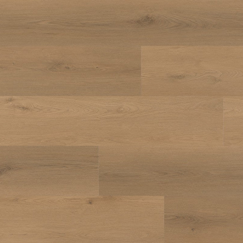 Tigris 232 Impala IB